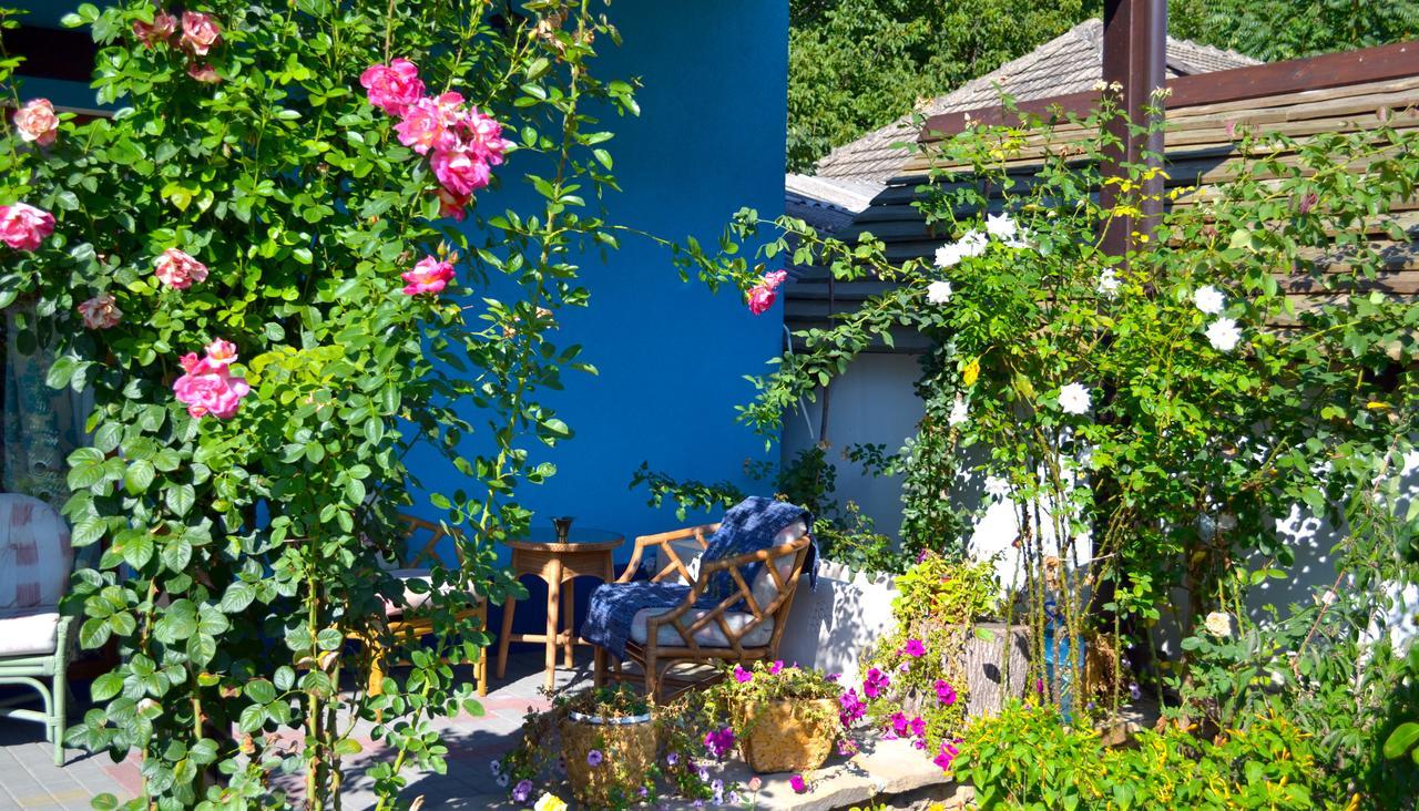 Resedinta Rotundu Bed and Breakfast Butuceny Exteriör bild